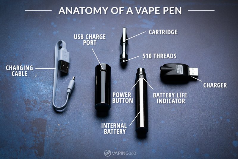 2020 Guide to Marijuana Paraphernalia